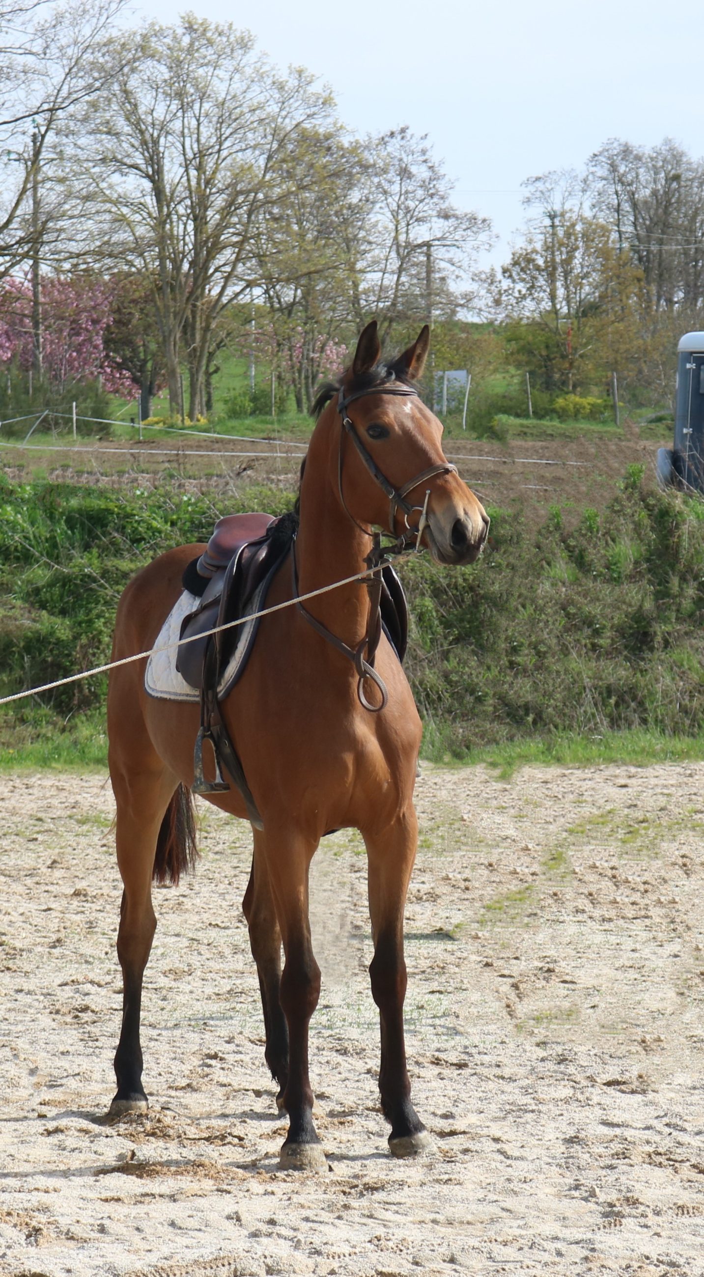 received_146976091661593