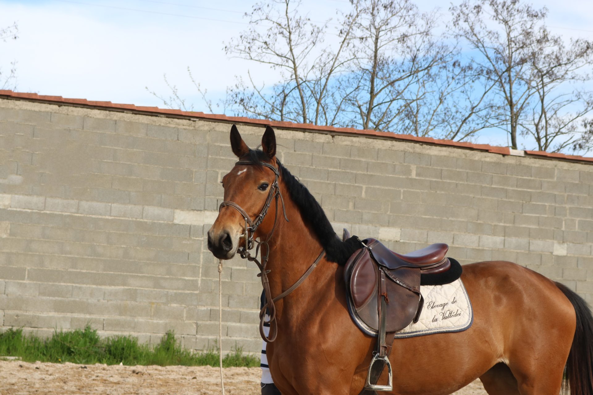 received_686749596588903